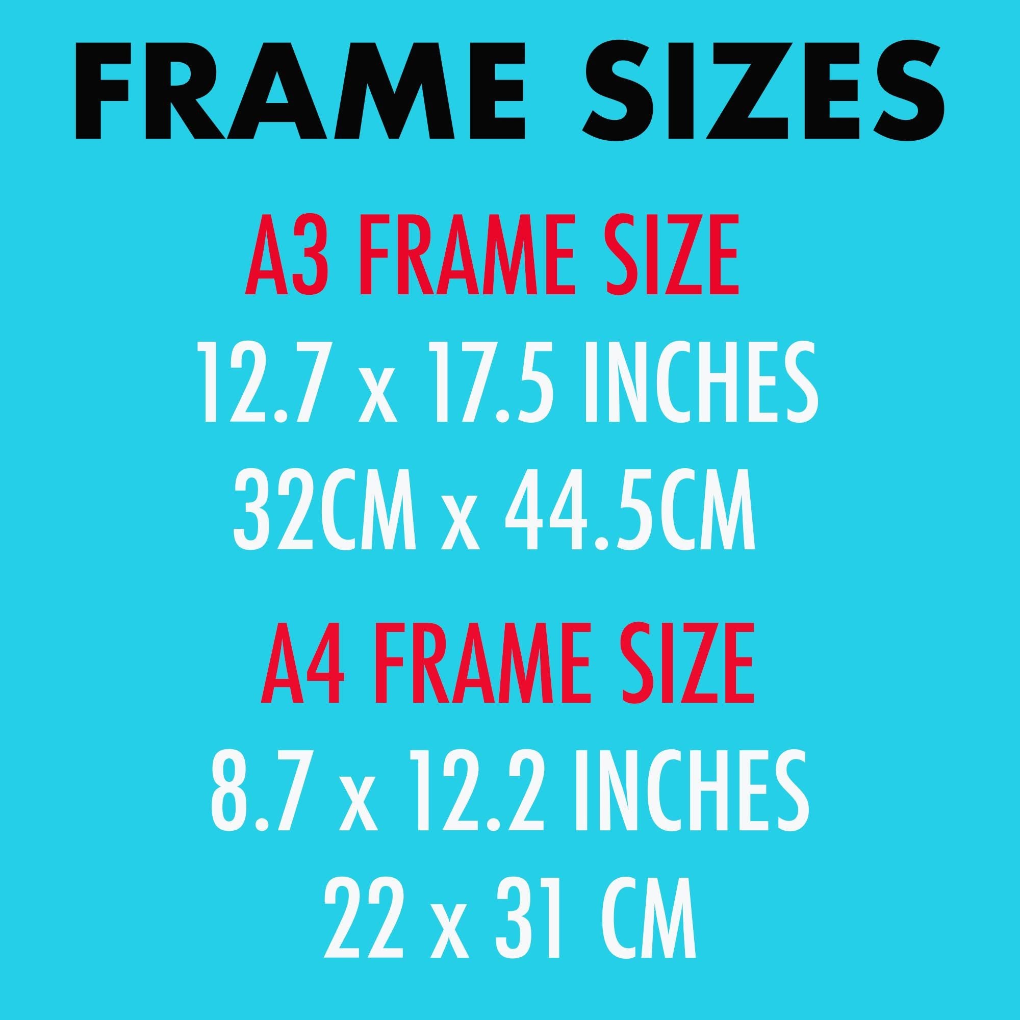 Framed Music Print Wall Art: Vinyl Junkie Design - 2 Sizes A3 - A4